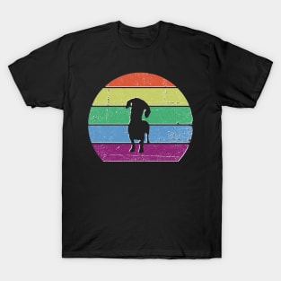 Dachshund dog T-Shirt